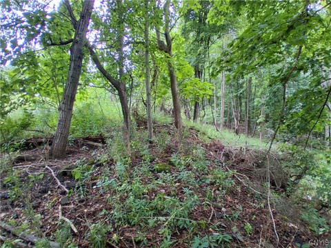 Tiny photo for 106 Skye Island Drive, Union, NY 13760 (MLS # S1702092)