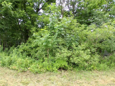 Tiny photo for 106 Skye Island Drive, Union, NY 13760 (MLS # S1702092)