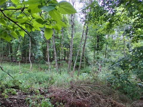 Tiny photo for 106 Skye Island Drive, Union, NY 13760 (MLS # S1702092)