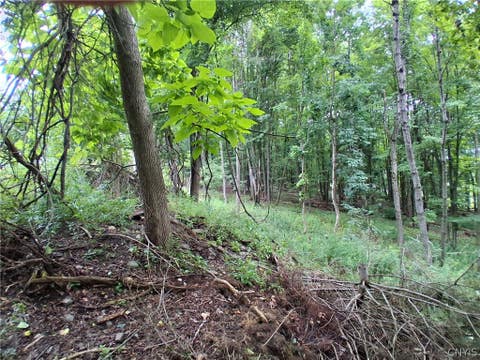 Tiny photo for 106 Skye Island Drive, Union, NY 13760 (MLS # S1702092)