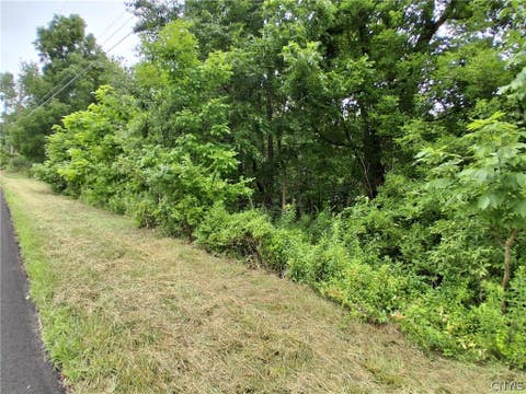 Photo of 106 Skye Island Drive, Union, NY 13760 (MLS # S1702092)