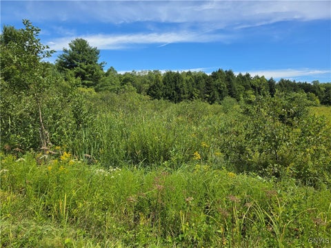 Vacant Land For Sale - Hayes Road<br/> Florence, NY 13316