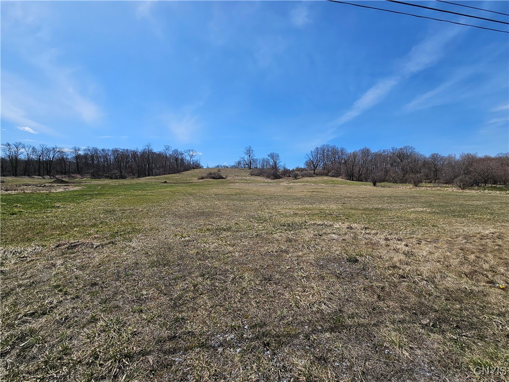 171 Houston Avenue, Syracuse, New York image 3