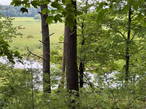 Vacant Land For Sale - Hammond Road<br/> Hammond, NY 13646