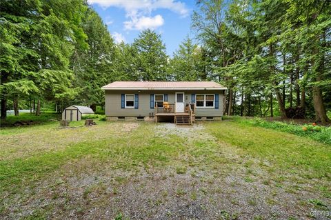 9036 Woods Road, Remsen, NY 13438 - #: S1616473