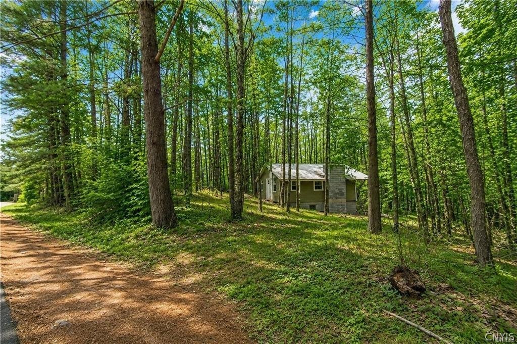 Photo of 14112 Hermitage Road, Diana, NY 13648 (MLS # S1710078)