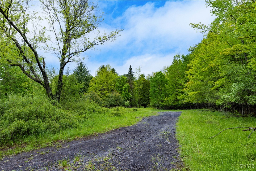 58 Cascade Drive, New Hartford, New York image 2