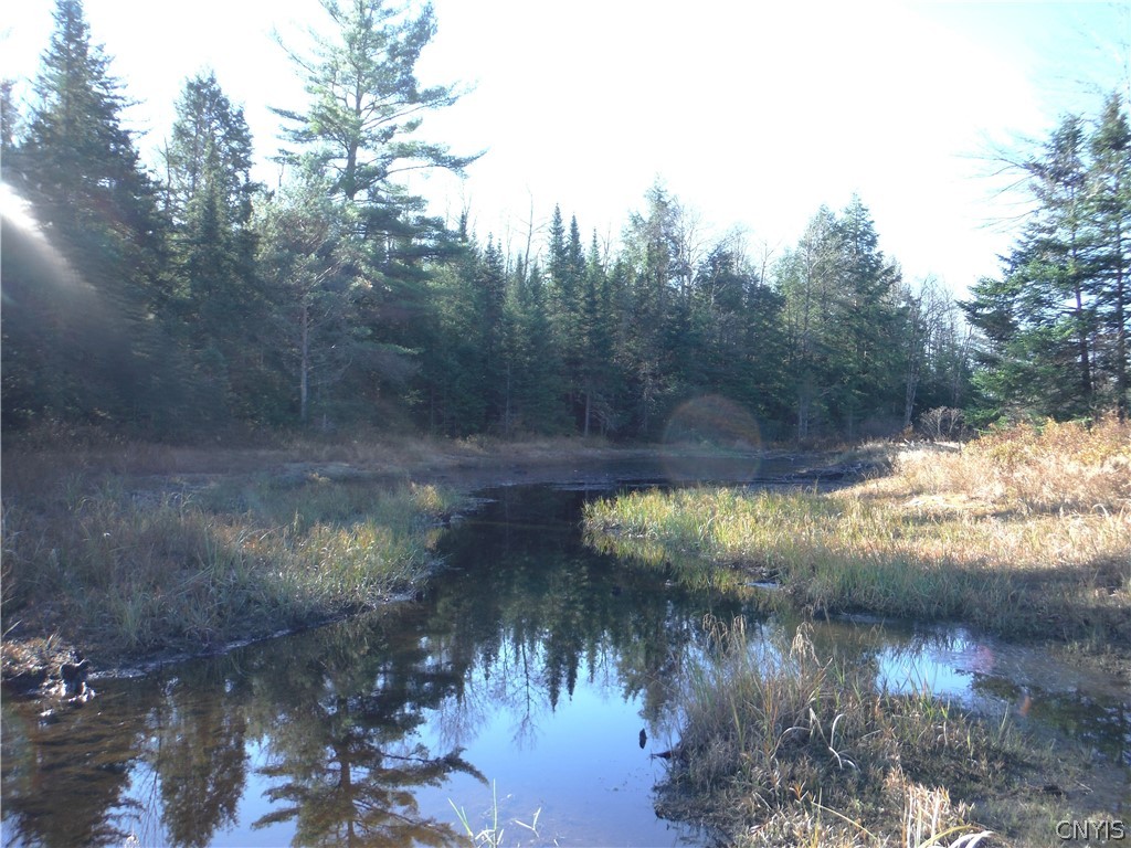 00X Buck Lake Road