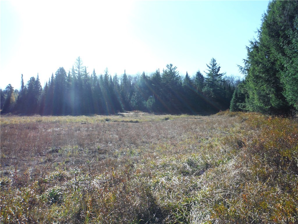 00X Buck Lake Road