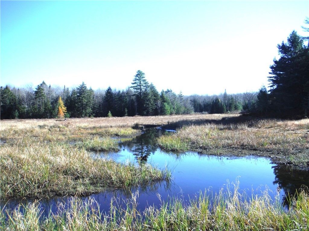 Photo of 00X Buck Lake Road, Forestport, NY 13338 (MLS # S1678148)