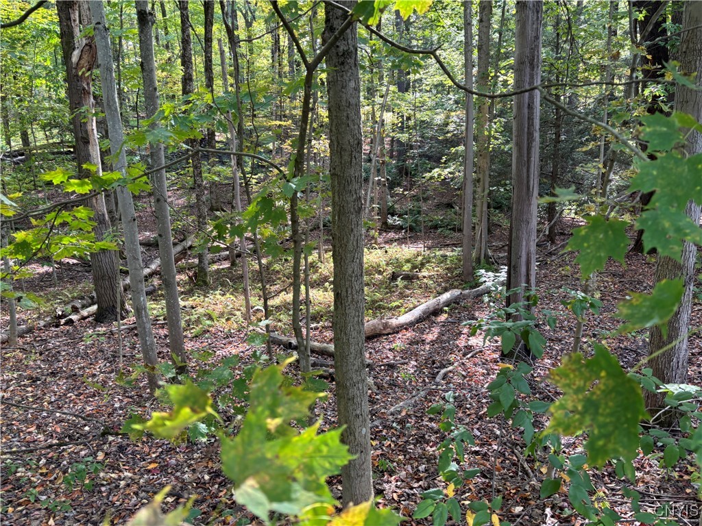 7639 Oakview Terrace