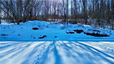 Tiny photo for 3170 State Route 5s, Danube, NY 13339 (MLS # S1660929)