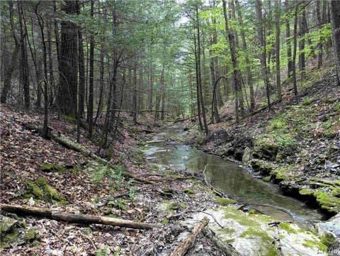 Photo of Stewart Road, Tuscarora, NY 14801 (MLS # S1707188)