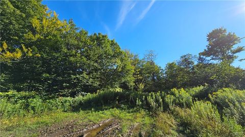 Vacant Land For Sale - 00 Rowsam Road<br/> Martinsburg, NY 13404