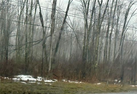 Route 13 N Blossvale NY 13308