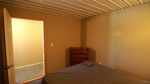 Tiny photo for 2192 State Route 8, Ohio, NY 13324 (MLS # S1654862)