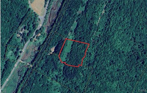 Vacant Land For Sale - Rt-30<br/> Roxbury, NY 12474