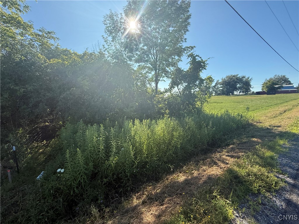 Hogan Road