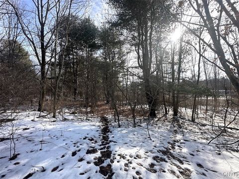 Vacant Land For Sale - Pigtail Road<br/> Friendship, NY 14739