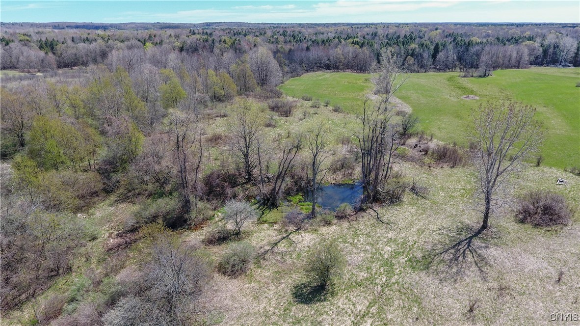 20504 Patrick Road, Rodman, New York image 43