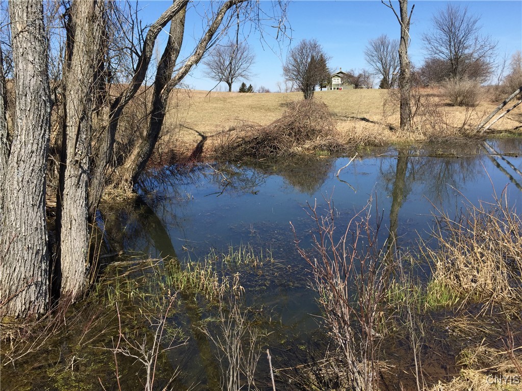 20504 Patrick Road, Rodman, New York image 44