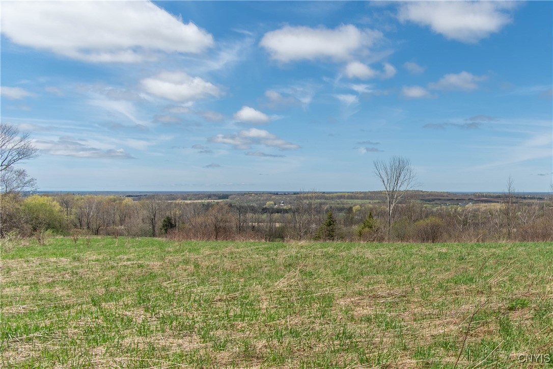 20504 Patrick Road, Rodman, New York image 47