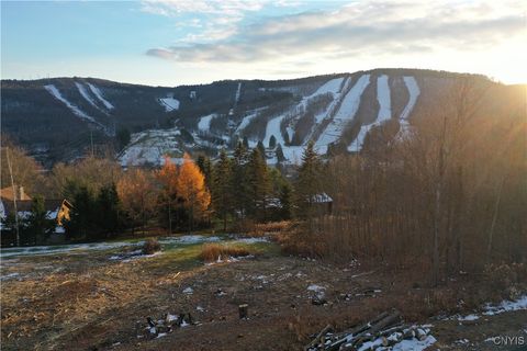 2018 Amalia Drive Cortland NY 13045