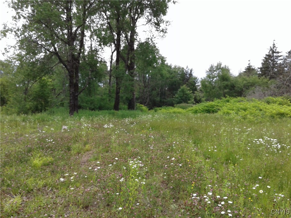 0 Gray-Wilmurt Road