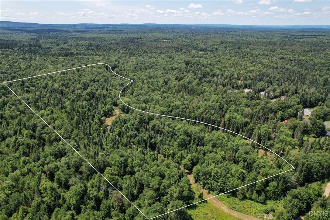 9161 Christmas Tree Lane Road