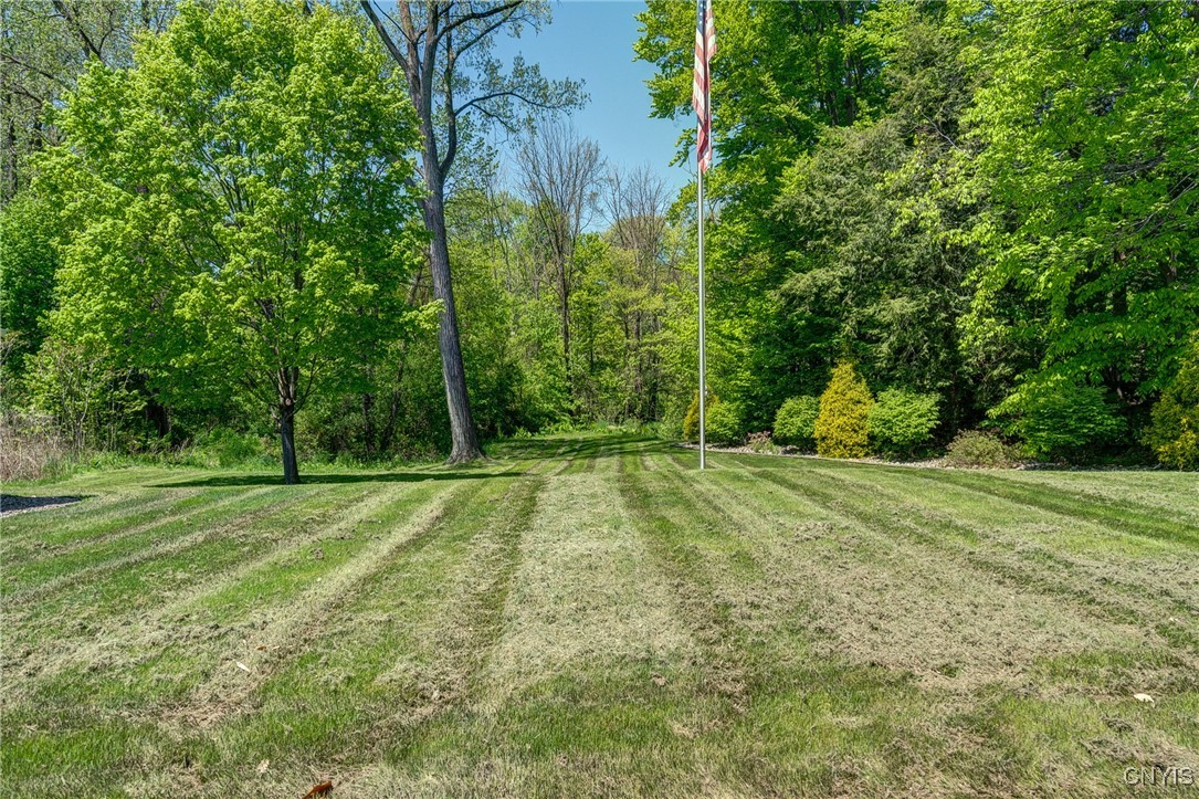 30 Orangewood Drive, Clay, New York image 46
