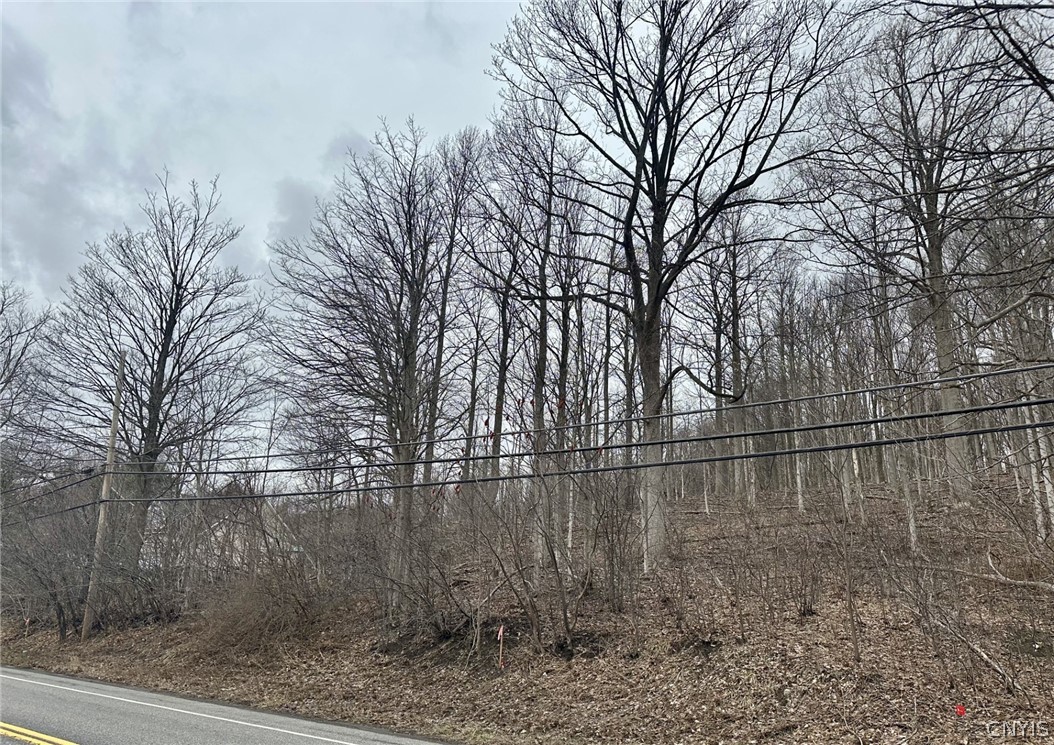 00 Warners Rd Lot #3