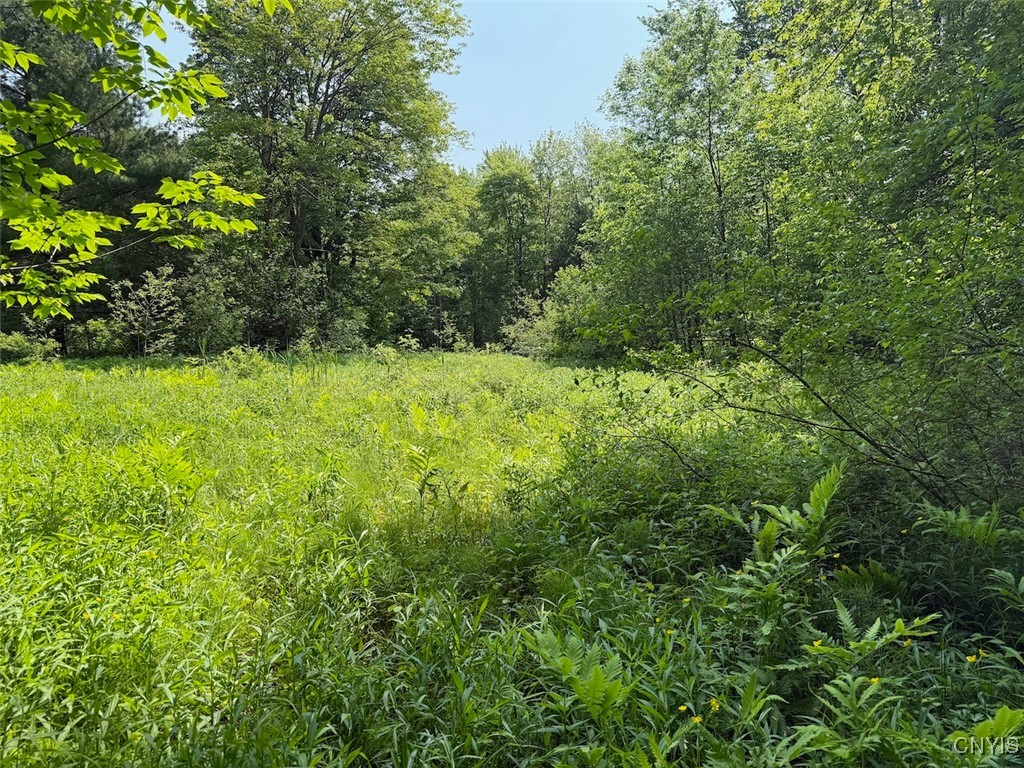 117 Albion Cross Road, Albion, New York image 2