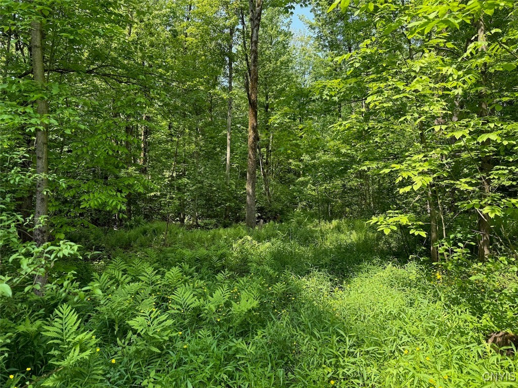 117 Albion Cross Road, Albion, New York image 6