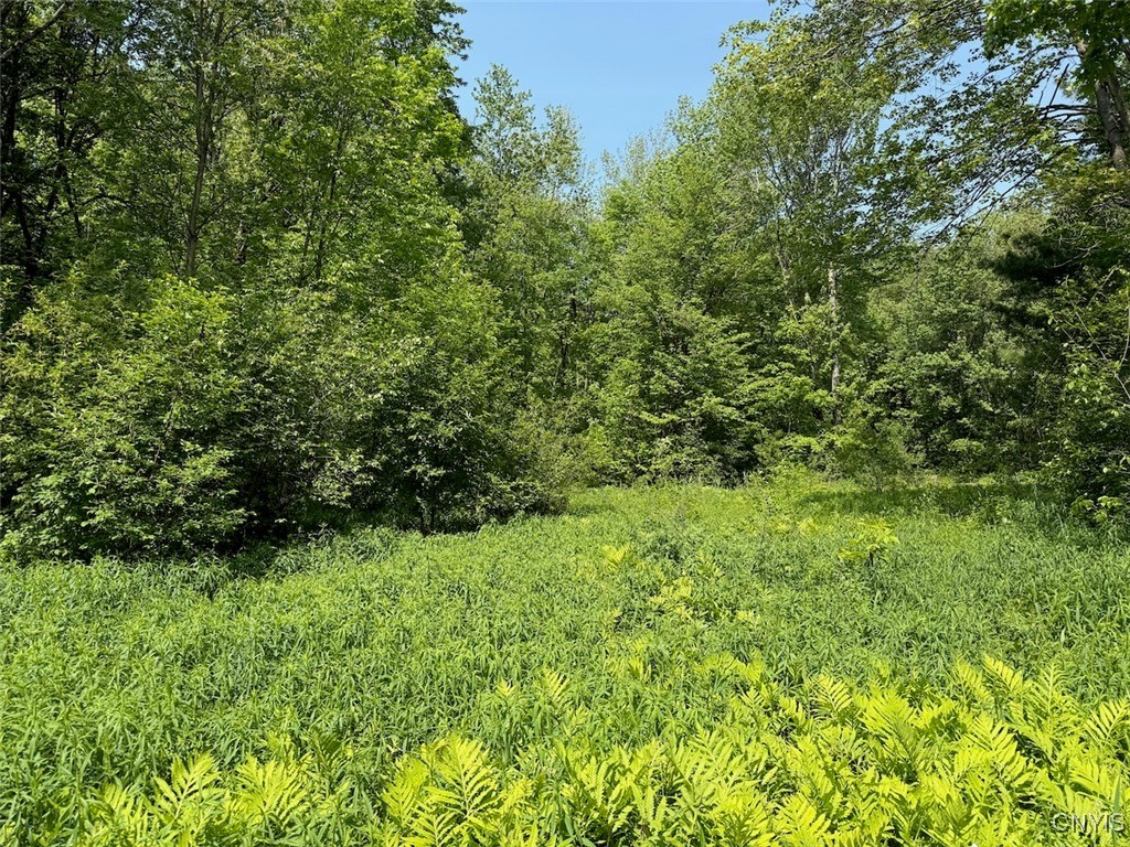 117 Albion Cross Road, Albion, New York image 3
