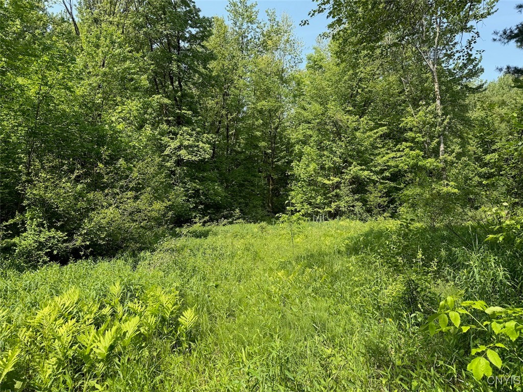 117 Albion Cross Road, Albion, New York image 1