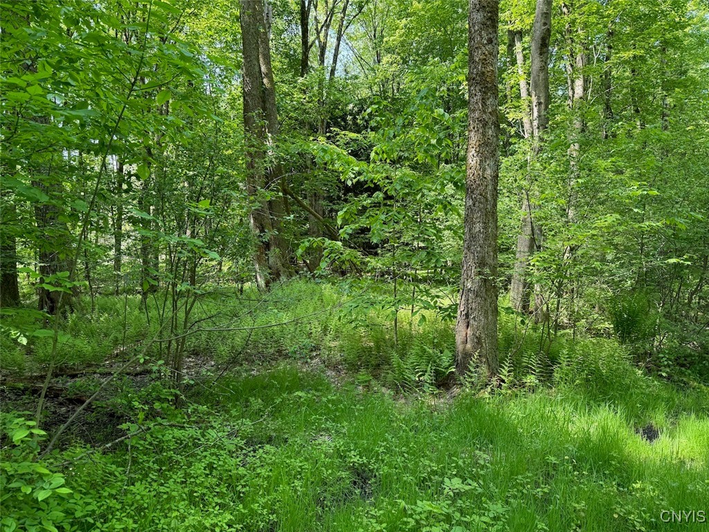 117 Albion Cross Road, Albion, New York image 7
