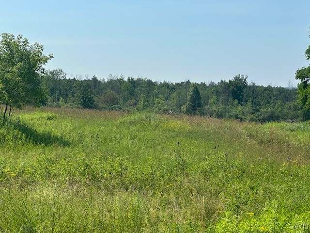 Chapman Road