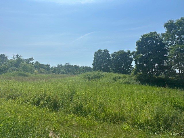 Chapman Road