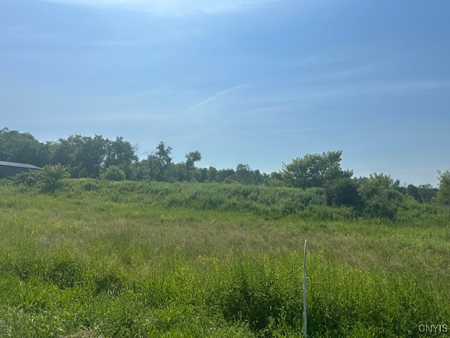 Chapman Road