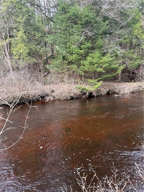 Vacant Land For Sale - LOT 96 West Rd.<br/> Oneida County, Forestport, NY 13338