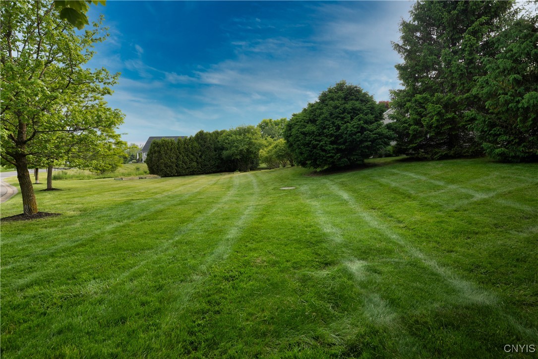 1 Wicklow Drive, Skaneateles, New York image 34