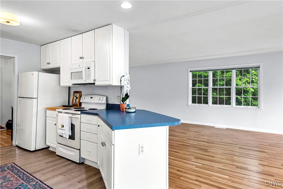 1 Wicklow Drive, Skaneateles, New York image 14