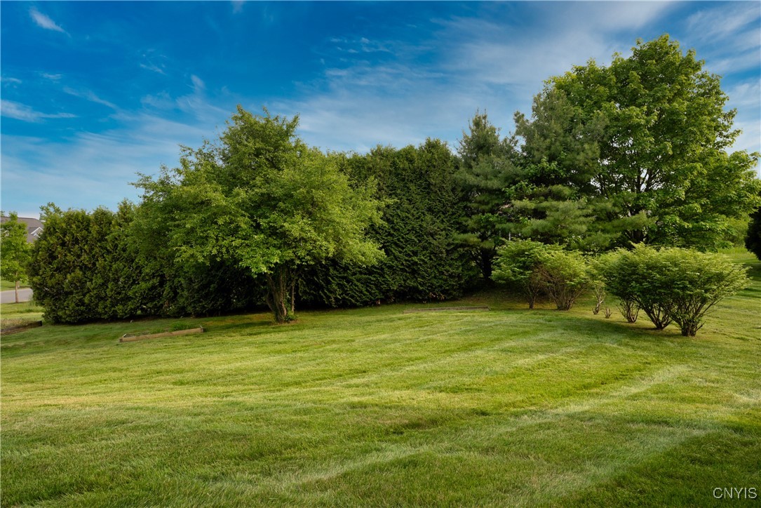 1 Wicklow Drive, Skaneateles, New York image 35