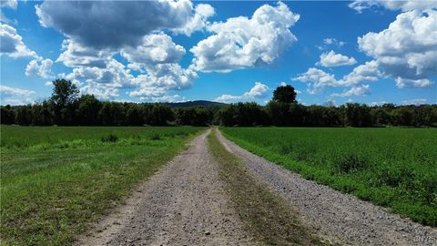 Lot 14.1 Lot 1 Ashe Road Little Falls NY 13365