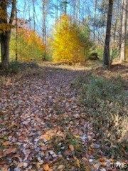160 Breckheimer Road, West Monroe, New York image 13
