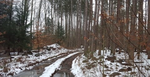 160 Breckheimer Road, West Monroe, New York image 9