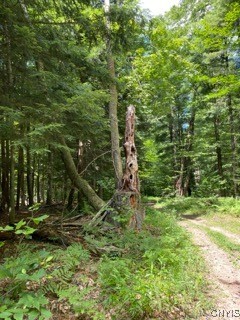160 Breckheimer Road, West Monroe, New York image 7