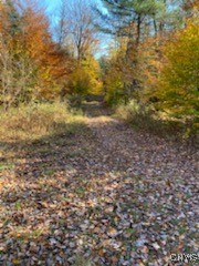 160 Breckheimer Road, West Monroe, New York image 14