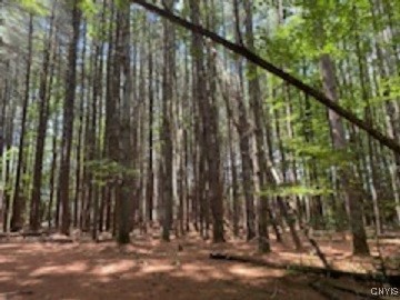 160 Breckheimer Road, West Monroe, New York image 8