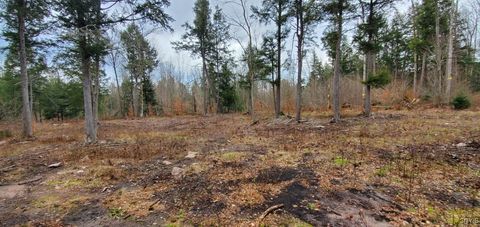 Vacant Land For Sale - 160 Breckheimer Road<br/> West Monroe, NY 13036